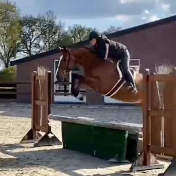 Heart Diamond Farm - Picture 13 of 15